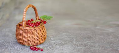 Sağlıklı böğürtlen üzümü, ya da güneşli bir günde frenk üzümü. Arka planda bir sepet dolusu meyve var.