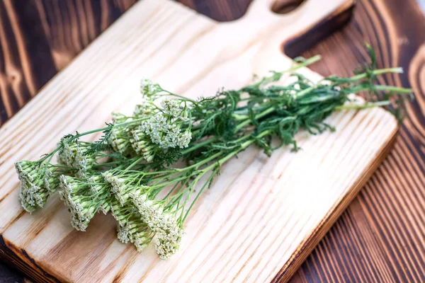 Yarrow Urtetinktur Hvit Flaske Med Kork Achillea Millefolium Hvite Ferske – stockfoto