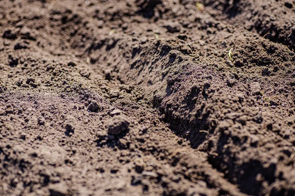 ウクライナの村で春の時間 植え付けのための土壌 — ストック写真