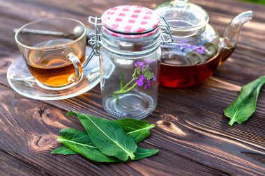 Keeping fresh medicinal herbs in the jar. Matthiola incana, Brompton stock, common stock, hoary stock, ten-week stock, and gilly-flower tea with fresh quotes, which can give an antiseptic effect.