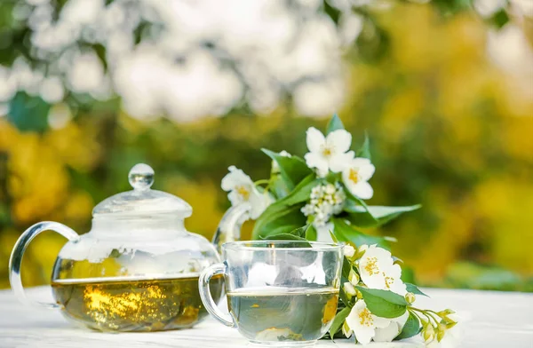 Philadelphus Garden Jasmine Flowers Healthy Herbal Tea Cup Hot Tea — Stock Photo, Image