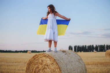 Ukrayna bayrağı taşıyan bir kız samanlıkta samanlıktan sonra ayakta duruyor. Hasattan sonra Lanschaft Ukrayna tarlaları. 4 Temmuz 'da. Özgürlük için. Bağımsızlık Günü. Vatansever bayram. Bayrak Günü. Anayasa Günü