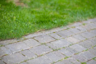 Yol yeşil çimlerin yanındaki fayanslarla kaplı. Şehir parkında kaldırımsız kaldırım.