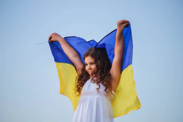 Mavi Gökyüzü Arka Planında Dalgalanan Ukrayna Nın Mavi Sarı Bayrağı — Stok fotoğraf