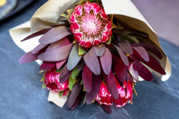 Prachtige Pink Ice Protea Unieke Tropische Bloem Elegant Bloemstuk Van — Stockfoto