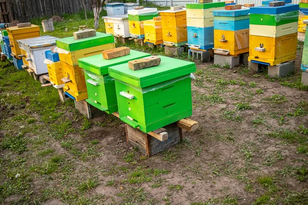 Kleurrijke Houten Plastic Kasten Zomer Apiary Staat Tuin Koud Weer — Stockfoto