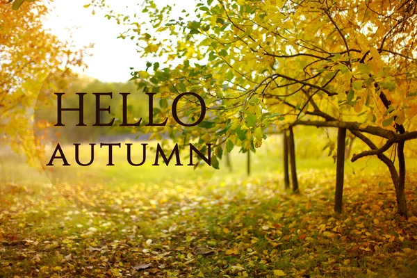 Text Hello Autumn. Wooden fence in village against the background of the autumn landscape. Background. Autumn yellow leaves tree in autumn park. Fall background with leaves.