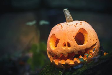 Kötü yüzlü Jack O Lantern. Cadılar Bayramı için gece ormanında devrilmiş ağaçta oyulmuş balkabağı. Gizemli puslu cadılar bayramı gecesi gri arkaplan ve metin için yer