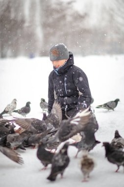 Oğlan kışın aç kuşları besler. Soğukta hayvanları kurtarmak. Çocuk doğayı korur. Kışın kar üzerinde şehir güvercinleri. Yumuşak odak.