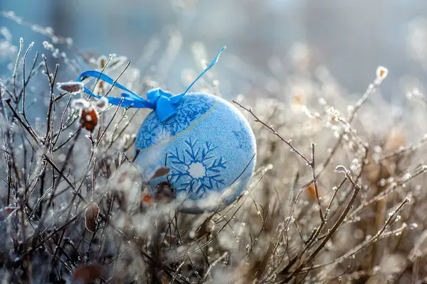 Kerstboom Speelgoed Takken Bedekt Met Vorst Zonnig Ijzig Weer Bereid — Stockfoto