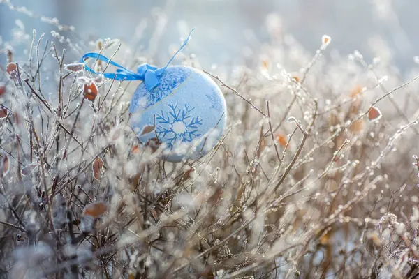Рождественская Игрушка Ветвях Покрытых Инеем Солнечная Морозная Погода Готовлюсь Рождеству — стоковое фото