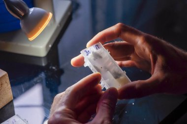 Dölleyici, döllenmiş bir kraliçe arı ve çalışan arılarla dolu bir hücre tutuyor. Müşterilere gönderilmeden önce donör spermiyle döllenmeden sonra kraliçe arı. Kraliçe arı naklediliyor. Kraliçe Arı Kafesleri