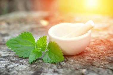 Isırgan otu diyopsisi, ilaç için eczane gereçlerinin yanında Urtica dioica ilaç şişesi, şifalı otların tentürünü hazırlamak için koyu camdan yapılmış pantolon pantolonu..