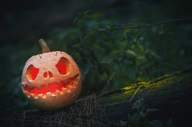Kötü yüzlü Jack O Lantern. Cadılar Bayramı için gece ormanında devrilmiş ağaçta oyulmuş balkabağı. Gizemli puslu cadılar bayramı gecesi gri arkaplan ve metin için yer.