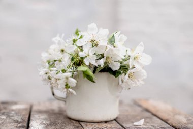 Still life with cup and bouquet of branches with apple blossoms. White petals of flowering trees that fell on concrete.