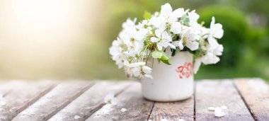 Still life with cup and bouquet of branches with apple blossoms. White petals of flowering trees that fell on concrete