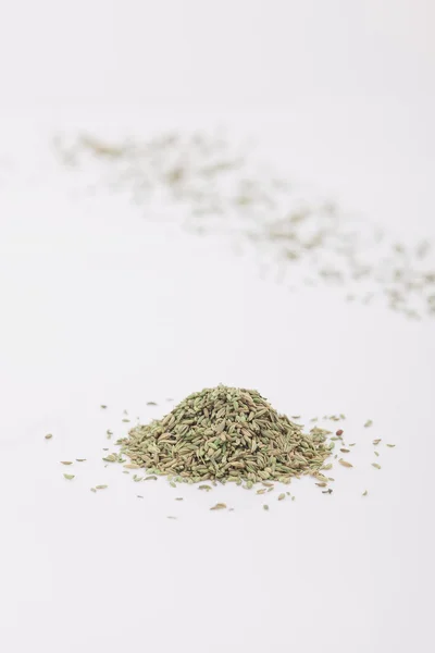 말린된 회 향 씨앗의 힙 — 스톡 사진