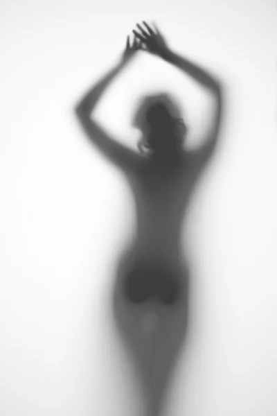 Silhouette of a pregnant woman on a light background — Stock Photo, Image