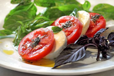 Domatesli salata ve tabakta bufalo mozzarella.