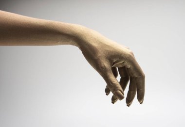 Beyaz arkaplanda çeşitli pozlar, jestler ve renkler bulunan kadın elleri.