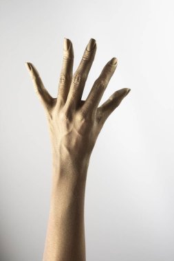 Beyaz arkaplanda çeşitli pozlar, jestler ve renkler bulunan kadın elleri.