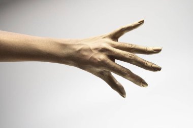 Beyaz arkaplanda çeşitli pozlar, jestler ve renkler bulunan kadın elleri.