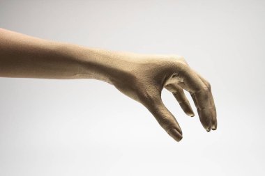 Beyaz arkaplanda çeşitli pozlar, jestler ve renkler bulunan kadın elleri.