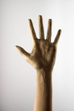 Beyaz arkaplanda çeşitli pozlar, jestler ve renkler bulunan kadın elleri.