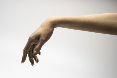 Beyaz arkaplanda çeşitli pozlar, jestler ve renkler bulunan kadın elleri.