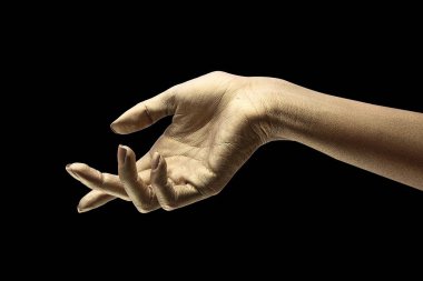 Beyaz arkaplanda çeşitli pozlar, jestler ve renkler bulunan kadın elleri.