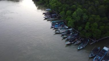 Geladhak Lanjhang haliçleri sakin gelgit sularıyla denizle buluşuyor, mangrovların üzerindeki ılık ışık, hafif dalgalar ve doğal görseller için uygun huzurlu bir kıyı manzarası.