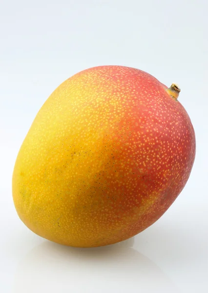 Un solo mango sano fresco — Foto de Stock