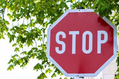 kırmızı kırmızı metin