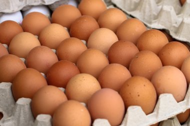 pazardan taze kahverengi yumurta