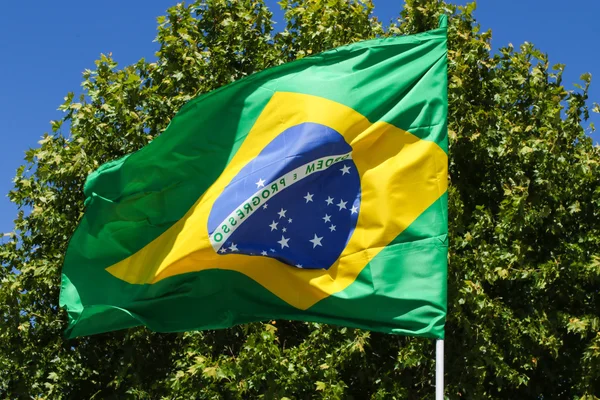 Прапор Бразилії зелений і жовтий — стокове фото