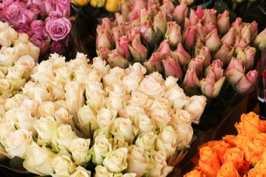 farklı beyaz ve pembe güller