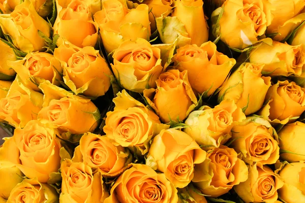 Sarı Gül çiçek Market