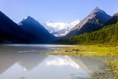 Dağ gölünün yamacındaki çam ağacı sisli dağ sırasının önündeki su yüzeyine yansıyor.