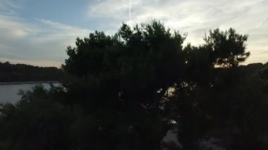 Anten: ağaçlar ve dallar, deniz suyu, lagün üzerinde yükselen güneş açın. Hırvatistan, Akdeniz'de turistik yerler.