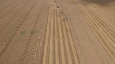 Tahıl tarlaları arasında hasat birleştirin. Buğday tarlasında tarım makinelerinin havadan görünümü. Endüstriyel ve tarımsal tema