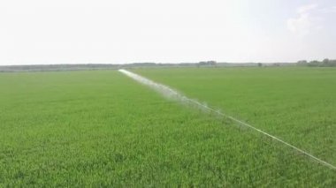 Mısır alan su pompası borular ve sulama sistemi sprinkler