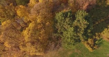 Hava uçuş Parkı veya güzel sonbahar güneşli orman içine giriş üzerinde