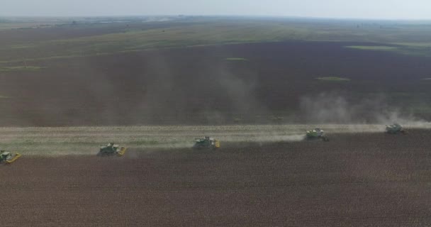 Luchtfoto van combineren harvester op tarweveld. Industriële achtergrond. Agrarische thema. — Stockvideo