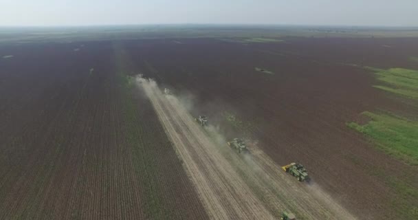 Raccolta campi di girasole. Attrezzature per l'agricoltura Concetto di coltura di modifica alimentare — Video Stock