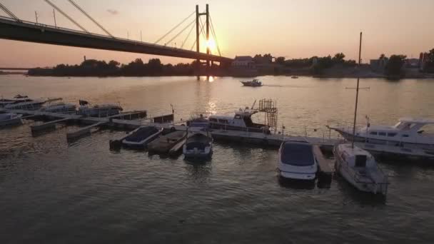 Belgrad solnedgång. Under bron, båt marinor och floden måsar på sommaren sunset — Stockvideo