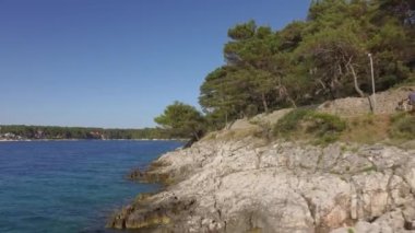 Turistik yolculuk Hırvatistan Adriyatik Denizi kıyısında bir bisiklet. İğne yapraklı orman kıyısına yakın. Akdeniz turistik yerler.