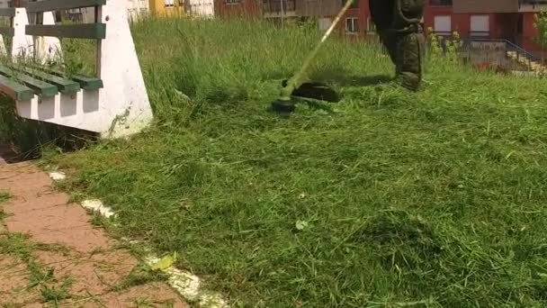 Jardinero en el trabajo, siega hierba y vegetación. Parque y mantenimiento de calles . Clip De Vídeo