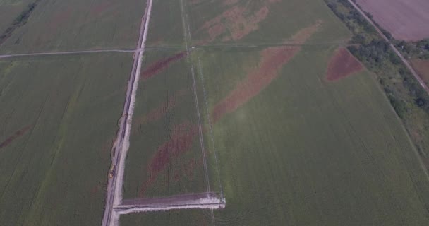 トウモロコシのフィールドの空中の灌漑システム。水チャネルおよび耕作に適した農地の灌漑用管 — ストック動画