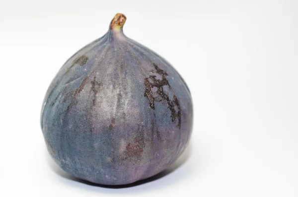 Fruta de figo madura — Fotografia de Stock