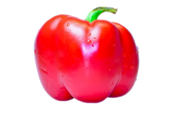 Ripe Red pepper — Stock Photo, Image